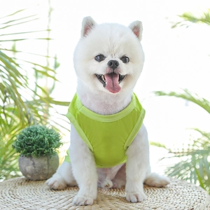 Gilet rafraîchissant pour chien vert néon en tissu respirant porté par un poméranien