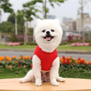 Red cotton pet vest for small dogs shown on a white Pomeranian in an outdoor park