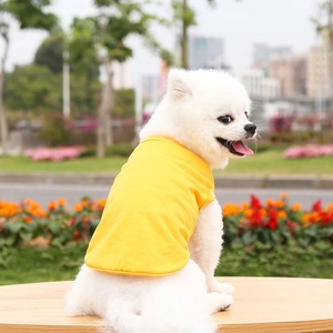 Ginger yellow cotton pet vest on a white Pomeranian dog in an outdoor park setting