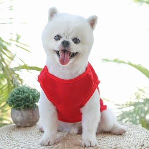 Détail d'un gilet d'été rouge en coton respirant pour chien sous une lumière naturelle