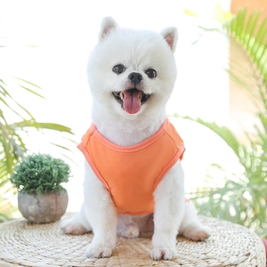 Détail du gilet sans manches orange vif pour petit chien sur un tapis de paille