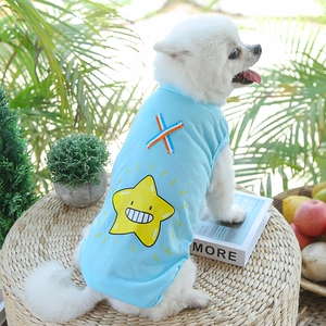 Détail du gilet bleu clair pour chien avec motif d'étoile jaune sur un Loulou