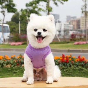 Close-up of purple sleeveless cotton vest for small dogs showing neck and sleeve edging details