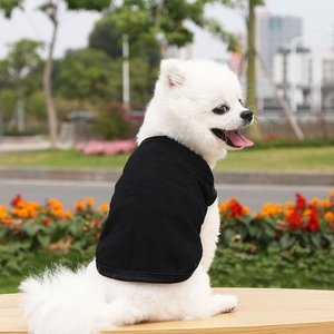 Close-up of a white Pomeranian puppy wearing a black sleeveless cotton pet vest in a park