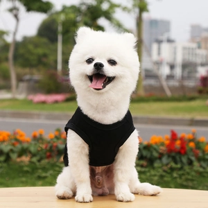 Classic black breathable sleeveless pet vest worn by a small Pomeranian in a park setting