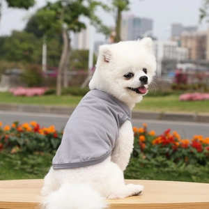 Gray sleeveless cotton pet vest for dogs and cats shown on a white Pomeranian outdoors