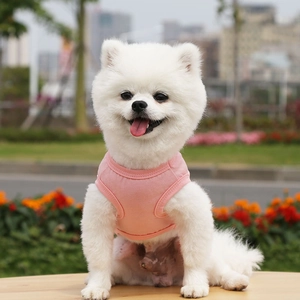 Close-up of a white Pomeranian dog wearing a soft pink cotton pet vest outdoors