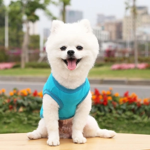 Blue dog vest made of elastic knit fabric worn by a small white Pomeranian outdoors