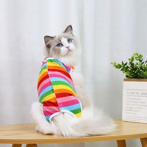Rainbow striped pet recovery suit for cats and small dogs on a ragdoll cat model