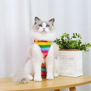 Rainbow striped pet recovery suit with breathable cotton fabric and white elastic binding
