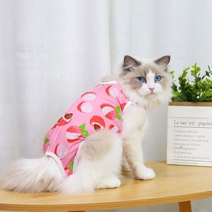 Close-up of pink pet recovery suit with red lychee pattern worn by a cat in home setting