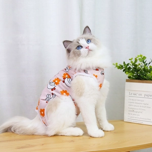 Detail of pink cartoon pet vest with chick print on a Ragdoll cat in cozy home setting