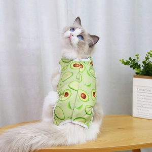 Cat in light green avocado print recovery vest shown in a cozy home setting macro view