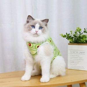 Close-up of a cat wearing a light green avocado print vest on a wooden table