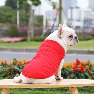 Outdoor close-up of a white French Bulldog wearing a red cotton pet vest t-shirt