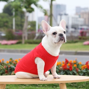 Close-up of a French Bulldog wearing a breathable red cotton vest in an outdoor setting
