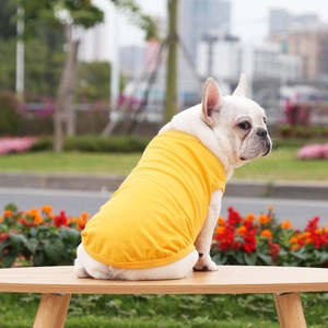 Bright yellow breathable dog vest on a French Bulldog in a sunny outdoor park setting