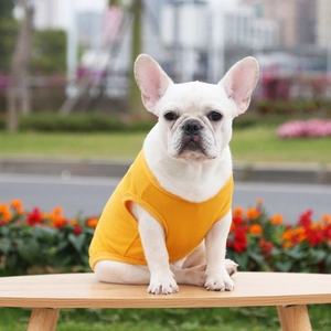 Close-up of vibrant yellow cotton pet vest on a dog in an outdoor park setting