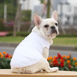 White breathable cotton pet vest for French Bulldogs on a sunny outdoor background