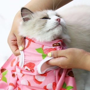 Detail of pink lychee print pet surgery recovery suit showing elastic white ribbed edges