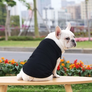 French Bulldog wearing a minimalist black pet t-shirt in a sunny outdoor park setting
