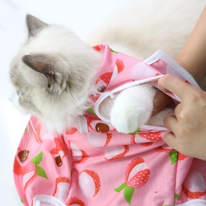 Detail of pink cat recovery suit featuring a velcro closure and cute lychee pattern