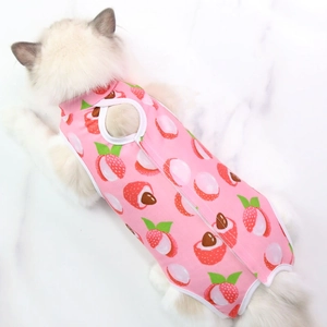 Pink pet recovery suit with lychee print shown on a cat against marble background