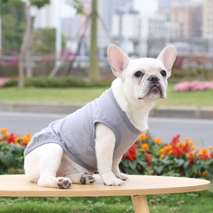 Breathable gray cotton dog vest shown on a French Bulldog puppy in an outdoor park setting