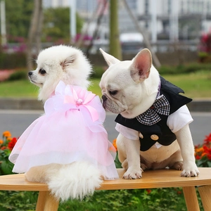 Dettaglio dell'abito tutu rosa e del gilet smoking nero per cani di piccola taglia