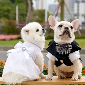 Abito Formale per Animali Domestici Tuxedo Con Fiocco Plaid Elegante Vestito da Sposa per Cani Gonna da Principessa in Rete per Cani Gatti Piccoli Medi Outfit da Festa