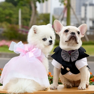Dettaglio dell'elegante abito da sposa rosa per cani e dello smoking nero per animali