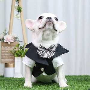 Dettaglio di uno smoking per animali con papillon su un bulldog francese bianco