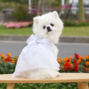 Squisito abito da sposa bianco per animali con rete multistrato e fiocco con strass
