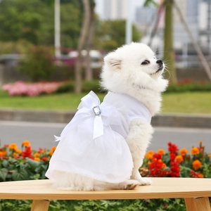 Dettaglio di un abito da sposa bianco per cani con tulle organza e fiocco in cristallo lucido