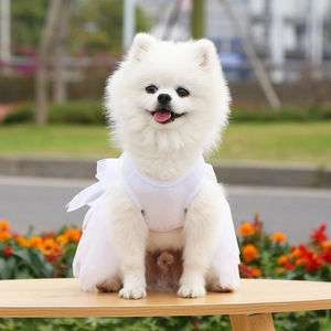 Dettaglio dell'abito da sposa bianco in tulle multistrato per cani su un volpino di Pomerania