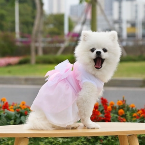 Dettaglio dell'abito per cani in tulle rosa e bianco con fiocco su un volpino