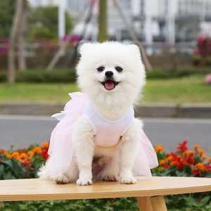 Dettaglio dell'abito per animali con gilet in cotone bianco e gonna in tulle rosa a strati
