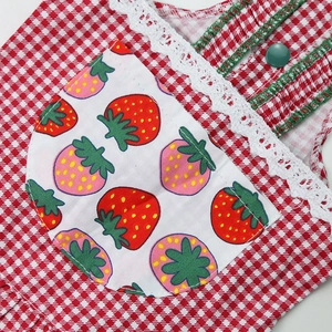Detail of red strawberry pocket with white lace on plaid pet dress with green button