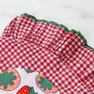 Detailed close-up of red gingham pet dress with strawberry print and green pleated trim