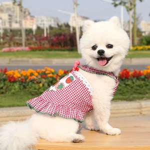 Close-up of strawberry print and white lace details on the red checkered pet dress