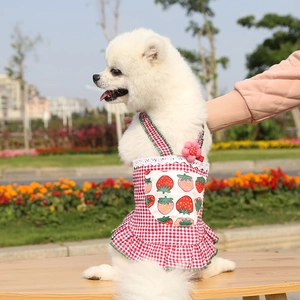 Detail of pet summer strap dress with red gingham, lace trim, and strawberry pocket