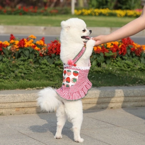 Detail of red gingham pet dress featuring strawberry pocket and pink flower on a Pomeranian