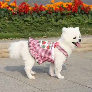 Detailed close-up of summer pet dress with red checkered pattern and strawberry print details