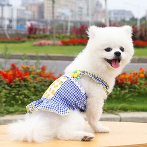 Detail of blue plaid summer pet dress with yellow duck patch and lace trim on pom dog