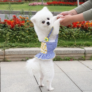 Detail of pet dress with blue gingham pattern, yellow duck print and lace trim