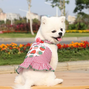 Dog summer dress with strawberry print and red gingham pattern for small pets