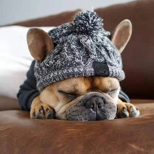 Dettaglio di un cappello lavorato a maglia grigio per cani con fori per orecchie e pompon