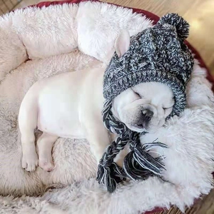 Cappello lavorato a maglia per animali con pompon e trecce per cani piccoli e cuccioli
