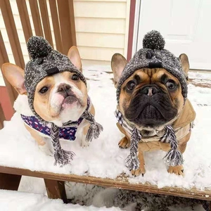 Bulldog francesi con cappelli lavorati a maglia e pompon in una foresta innevata