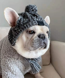 Dettaglio del cappello in maglia grigia per cani con fori per orecchie e pompon su un bulldog